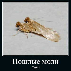 раздрожает 