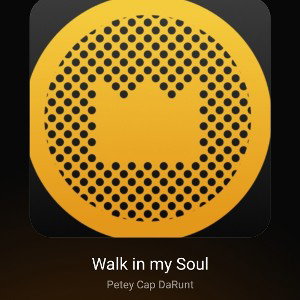 Walk in my Soul