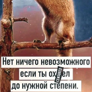 demo.fristyleСходуЗапись.