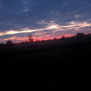  My Babylon 