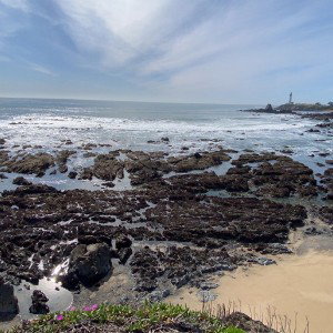 Trips  to Monterey