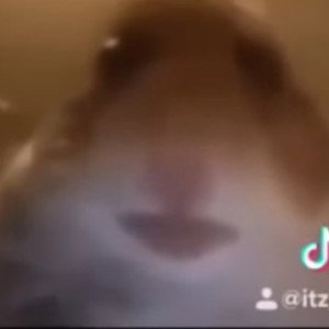 god mode