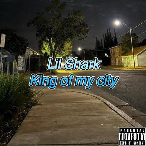 Lil Shark king of my city 