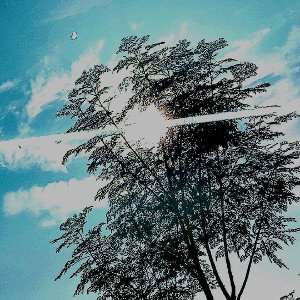 Lnd Bbk - Bbk=feeling unknown 2024-02-16 13_07