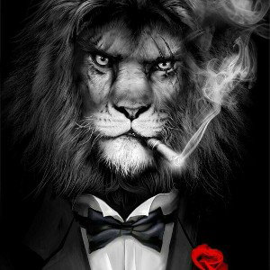 didicapolion 