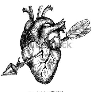 cicatriz 