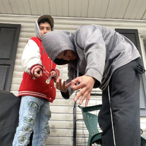 free twin