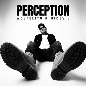 perception 