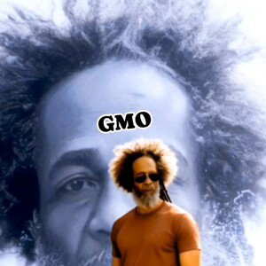 GMO
