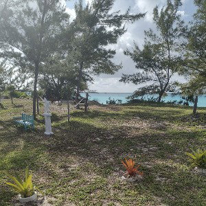 The Paradise 