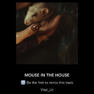MOUSE IN THE HOUSE