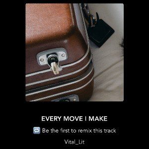 EVERY MOVE I MAKE