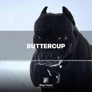 Buttercup 