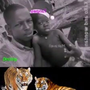 OMIX🐵 1 🦍GORIL da🦌🐘terra King 🕳WONTANG 