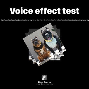 Voice effect test