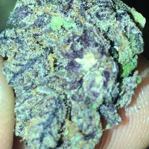 SmokinLife