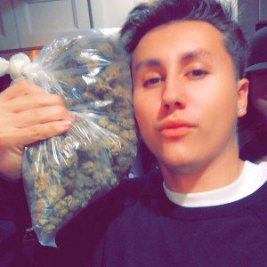 hyphy 