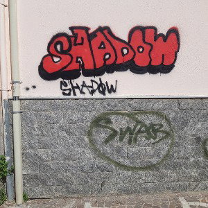 shadow - RISCATTO