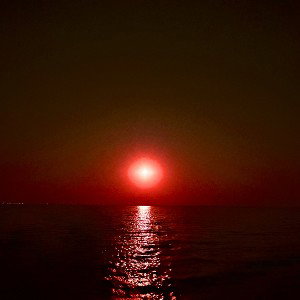 Treesha(remix slow reverb)