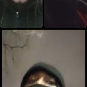 gang 