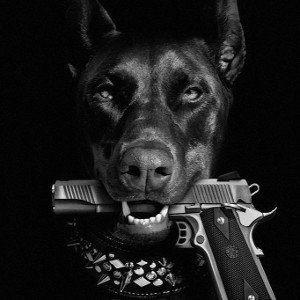 top dogg