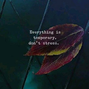 it's alright 