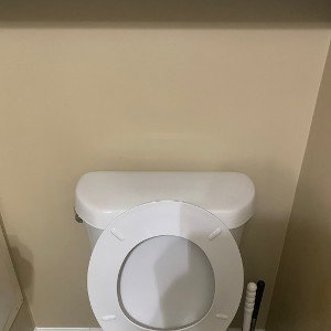 toilet paper 