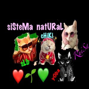 #SISTEMANATURAL♥💚