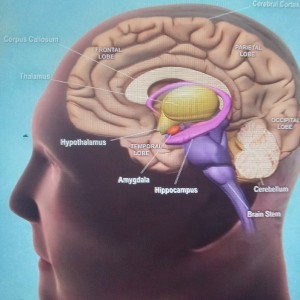 MY MIND