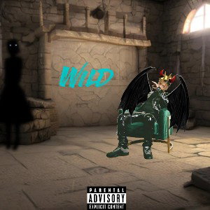 JUICE WRLD - WILD