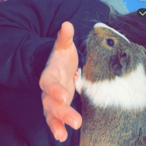 RIP, my baby boy
