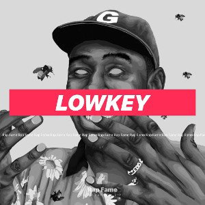 Lowkey 🔥🔌👌