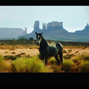 rez rocket styling 