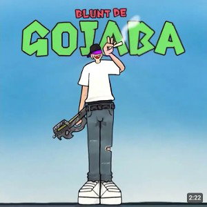 Top 5 - 🍎BLUNT DE GOIABA🍎 - Nosred