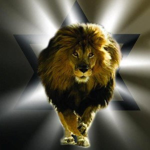 ✡️🦁 Lion of Judah 🦁✡️ 