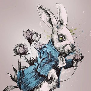 Déjà vu-White Rabbit aka Blanconejo 