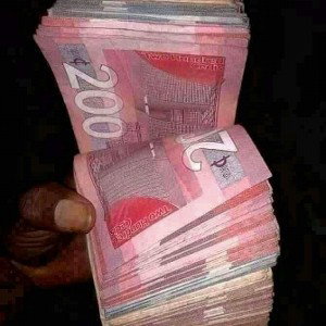 The Money 🤑💰