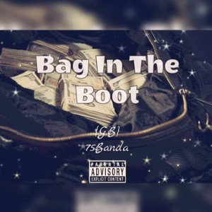 BAG IN THE BOOT