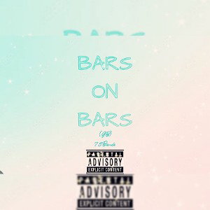 BARS ON BARS