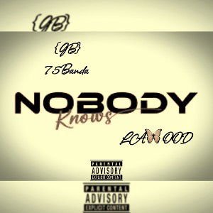 NOBODY KNOWS ft LAWOOD (14:41:26)