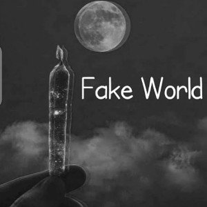 FAKE WORLD