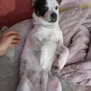 ПАХАН