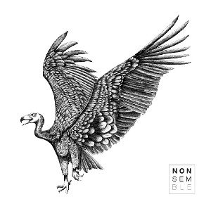 Biggest Bird