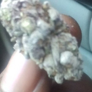 Glock 26 diesel ⛽⛽⛽⛽