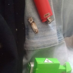 BigTorch