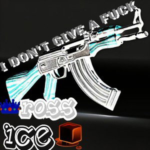 I DONT GIVE A FUCK