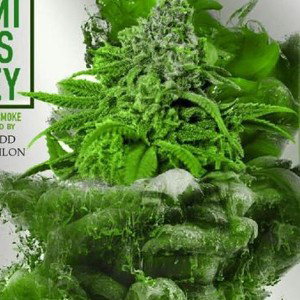 drugs smoke weed 