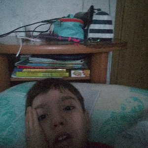 я жар птица над зимой