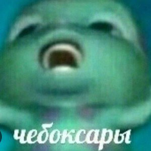 ЧЕБОКСАРЫ
