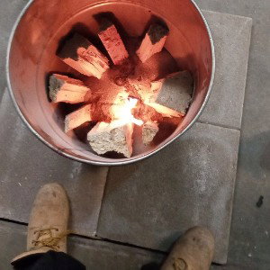🧠Brains 🧠